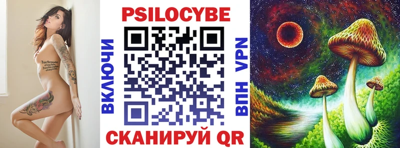 как найти наркотики  Кашин  гидра ссылки  Галлюциногенные грибы GOLDEN TEACHER 